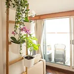Apartment Rooftop *